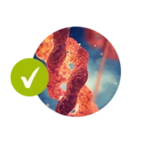 Hair Perfecta keratin